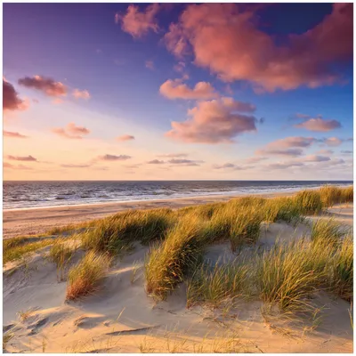 Produktbild von Wallario Premium Glasbild, freischwebende Optik, kräftige Farben, Größe 50 x 50 cm Motiv Abendspaziergang am Strand - Sonnenuntergang über dem Meer