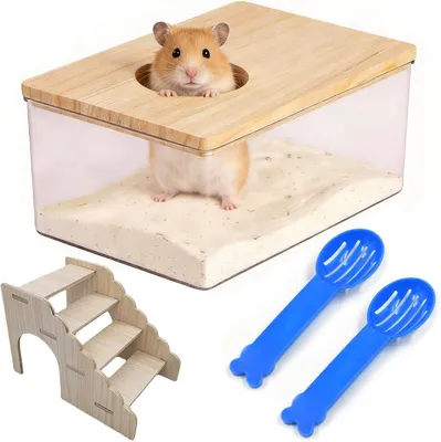 Produktbild von Hamsterbad mit Leiter, 18.5 x 12.5 x 8.5 cm, transparent, für Nagetiere