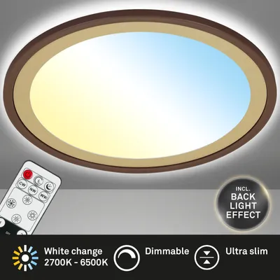 A ceiling light with a remote control and feature callouts.