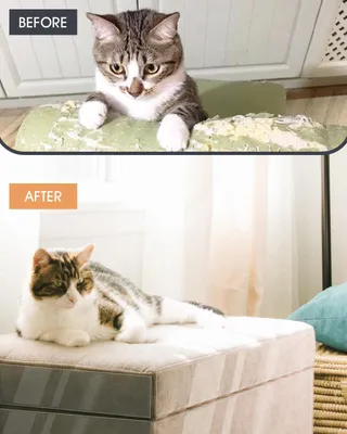 Produktbild von Anti-Kratzfolie - Anti-Kratz Katzen - Anti-Kratz - Möbelschutz für Katzen - Anti-Kratzfolie für Katzen - Kratzfolie Katze