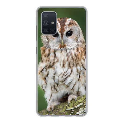 Produktbild von MuchoWow® Handyhülle Schutzhülle Hülle für Samsung Galaxy A51 Braune Eule sitzt auf einem Baum Silikon Softcase Handy Hülle - Schutzabdeckung