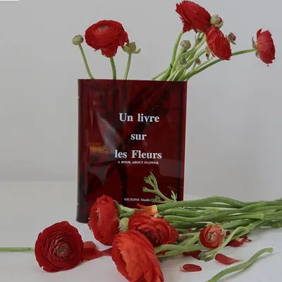 Image de (Rouge) Vase à fleurs en forme de livre - Vase à fleurs en acrylique transparent, vase de bureau, vase à livres pour espaces floraux esthétiques (ne contient pas de fleurs)