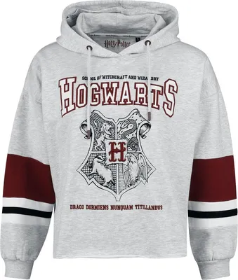 Produktbild von Harry Potter Sweatshirt Damen Hogwarts Crest grau S