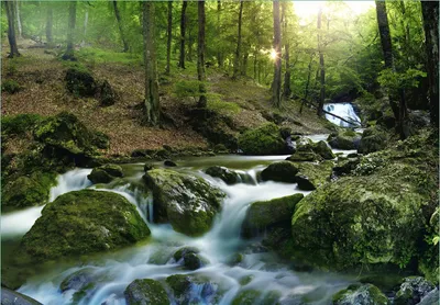Produktbild von Wallario Fototapete Vliestapete, seidenmatte Oberfläche, einfache Verarbeitung, Größe 350 x 245 cm, Motiv Fließender Bach im Wald bei Sonnenuntergang
