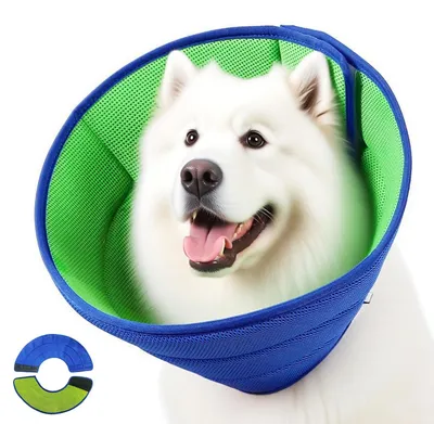 Hundehalskrause aus Mesh, atmungsaktiv, Größe L, Grün/Blau