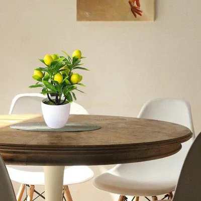 Image de Maquette d'agrume - Décoration de bureau - Réaliste - 24 cm de haut - Vert avec des fruits jaunes