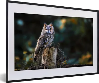 Produktbild von MuchoWow® Gerahmtes Poster Eule - Herbst - Vogel - Äste 60x40 cm - Poster mit Schwarzem Bilderrahmen Wandposter Rahmen Foto Bilder - Schlafzimmer - Plakat in Rahmen - Drucken