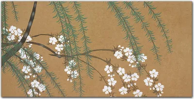 Produktbild von Coloray Küchenrückwand 120x60 Spritzschutz aus Glas - Baumzweige Blumen Blätter