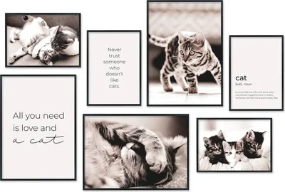 Produktbild von Hyggelig Home Premium Poster Set - 7 passende Bilder OHNE RAHMEN - Katzen Katzenbabys Kater Haustiere modern für Wohnzimmer Kinderzimmer Schlafzimmer - 3 x DIN A3 + 4 x DIN A4 - Set Cats