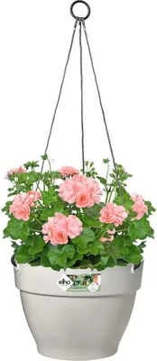 Produktbild von Hängeampel Blumentopf elho Vibia Campana Ø 26 cm Weiß Pflanzentopf für Außen