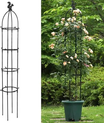 Image de Support pour plantes vertes et fleurs