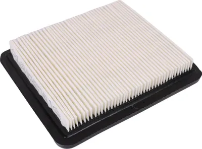 Immagine prodotto di Filtro aria Briggs&Stratton QUANTUM 491588S, 494245, 399959 ORIGINALE