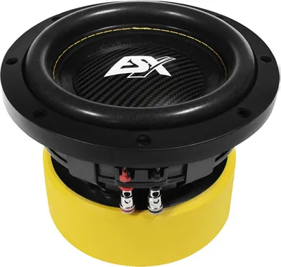 Produktbild von ESX QXE6D2 Subwoofer Chassis 165mm 2 x 2 Ohm Doppelschwingspule 250 Watt RMS 500