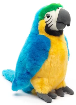 Image de Peluche perroquet 32 cm