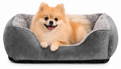 Productafbeelding van Hondenbed, klein, geschikt voor middelgrote honden