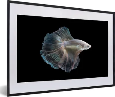 Produktbild von MuchoWow® Gerahmtes Poster Fisch - Schwanz - Weiß 60x40 cm - Poster mit Schwarzem Bilderrahmen Wandposter Rahmen Foto Bilder - Schlafzimmer - Plakat in Rahmen - Drucken