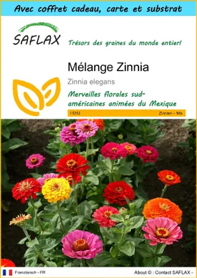 Image de SAFLAX Ensemble-cadeau - Mélange Zinnia - 50 graines - Zinnia