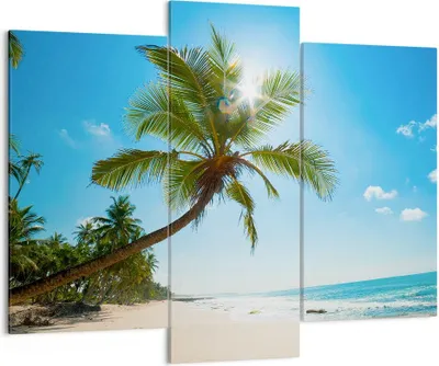 Produktbild von Bild auf Leinwand - Leinwandbild - Strand Palme Meer - 130x100cm - Wand Bild - Wanddeko - Leinwanddruck - Bilder - Kunstdruck - Wanddekoration - Leinwand bilder - Wandkunst - CB130x100-3570