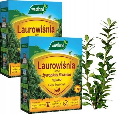 Produktbild von Dünger für Laurus nobilis - 2 kg - Schnelles Wachstum - Frostresistent - Reich an Nährstoffen