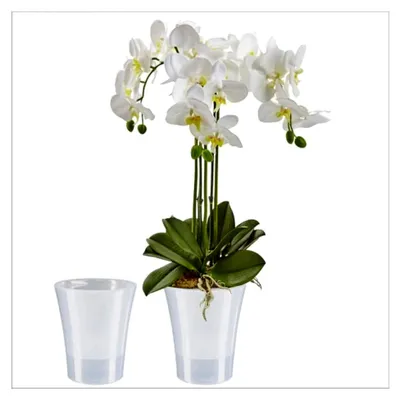 Produktbild von 2er-Set transparenter Orchideentopf mit selbstbewässerndem Dochtsystem - D 15 cm - Transparent - 2 L