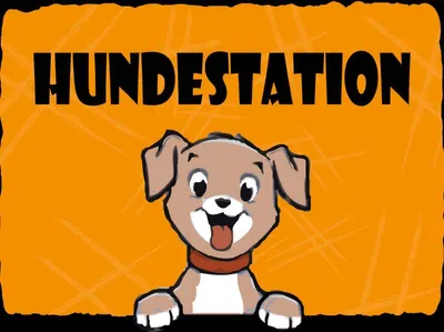 Produktbild von vianmo Holzschild 30x40 cm Hundestation (orange)