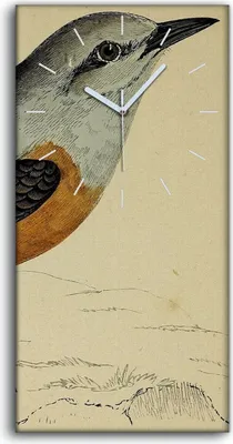 Produktbild von Wandbild Leinwand Bilder Wanduhr 30x60 Vögel Wild Tiere Zeichnung Kunst - weiße Hände