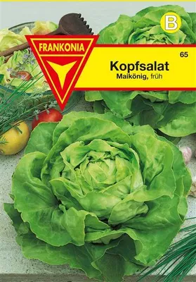 Produktbild von Kopfsalat Maikönig