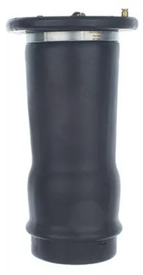 Imagen del producto de EBG, amortiguador de suspensión neumática trasero para Land Rover, referencia RKB101200