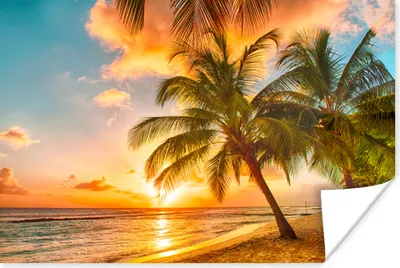 Produktbild von MuchoWow® Poster Sonnenuntergang - Palme - Wolken - Meer - Strand 180x120 cm - Fotoplakat