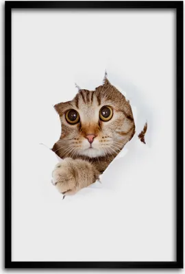 Produktbild von Bild - Bilderrahmen - 40 cm x 60 cm - MDF - Rahmen - Wandkunst - Katze