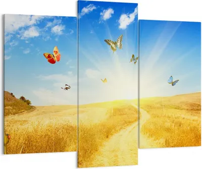 Produktbild von Bild auf Leinwand - Leinwandbild - Schmetterlinge Wiese Gras - 130x100cm - Wand Bild - Wanddeko - Leinwanddruck - Bilder - Kunstdruck - Wanddekoration - Leinwand bilder - Wandkunst - CB130x100-0517