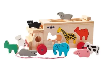 Immagine prodotto di Camion con forme inseribili - animali