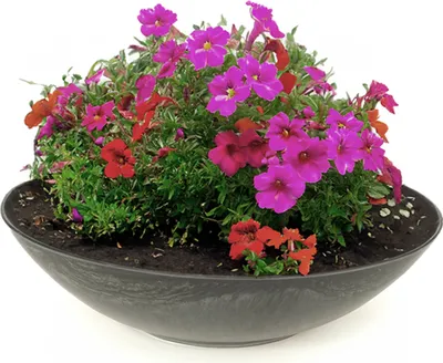 Produktbild von Pflanzschale für draussen Dekoschale rund schwarz marmoriert 35 cm