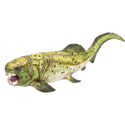 Zdjęcie produktu dla Mojo Fun Dunkleosteus, 3 lat(a), PREHISTORIC LIFE, Zielony, Czarny, Biały, Polichlorek winylu (PVC)