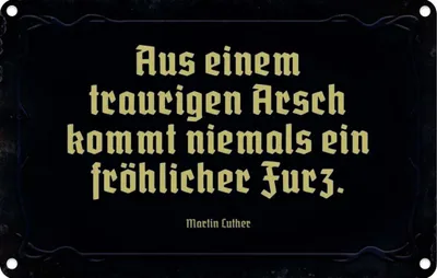 Produktbild von vianmo Blechschild 20x30 cm aus einem traurigen Arsch kommt Spruch Zitat