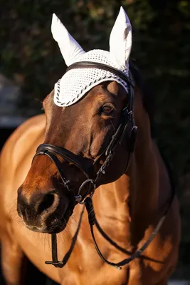 Produktbild von Kerbl Fliegenhaube Classic, weiß