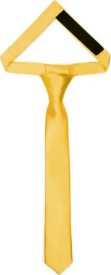 Image de Enfants pour garçons - Look élégant et brillant TKS 31cm x 4cm