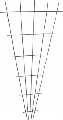 Immagine prodotto di Supporto a ventaglio per piante rampicanti 150x75cm Verde
