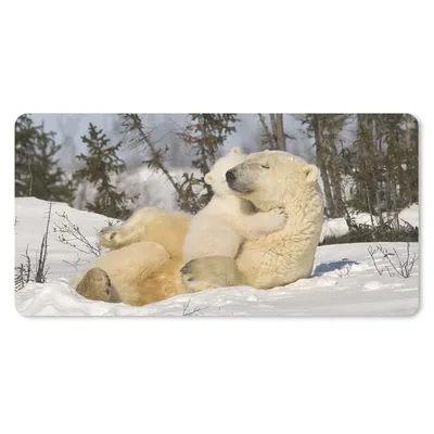 Produktbild von MuchoWow® Mauspad Mousepad Eisbär - Schnee - Höhle - Jungtier 60x30 cm - Mousepads - Maus Mat - Pad - Mausunterlage - Nachhaltig