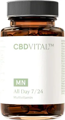Produktbild von All Day 7/24 Multivitamin Komplex | 60 Kapseln | Vitamine, Mineralstoffe, Zink & Lutein
