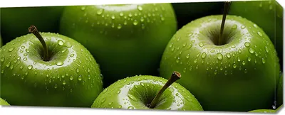 Produktbild von Bild 100x40cm Erfrischende Frische