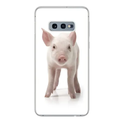 Produktbild von MuchoWow® Handyhülle Schutzhülle Hülle für Samsung Galaxy S10e Schwein - Tiere - Weiß Silikon Softcase Handy Hülle - Handy