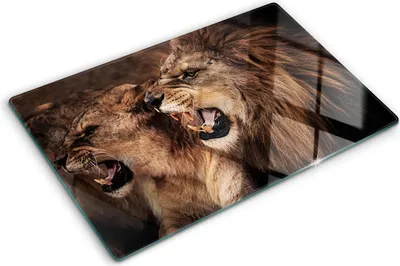 Imagen del producto de Cubierta para placa de cocina – Cubierta para placa de inducción – Placa de vidrio protectora – 80x52 cm – Placas de vidrio protectoras para estufas – Vidrio templado – Leones rugientes