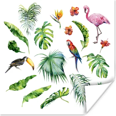 Produktbild von MuchoWow® Poster Dschungel - Muster - Tiere - Blätter - Jungen - Mädchen - Kinder 50x50 cm - Wohnzimmerdekoration