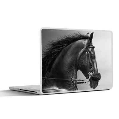 Produktbild von MuchoWow® Laptop Aufkleber Sticker Cover Pferde - Schwarz - Porträt - Tiere 40x30 cm - Laptop Dekoration - Selbstklebend