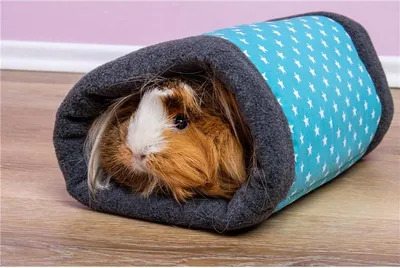 Produktbild von Bunny Fleecy Kleintier-Tunnel aus Fleece, Türkis, gefüllt, 30x24 cm, Ø 16 cm