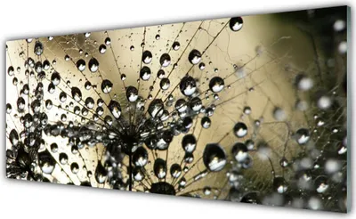 Produktbild von Glasbilder 125x50 Wandbild Druck auf Glas Pusteblume Pflanzen