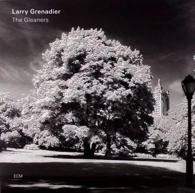 Obrázok produktu pre Larry Grenadier - The Gleaners Vinyl