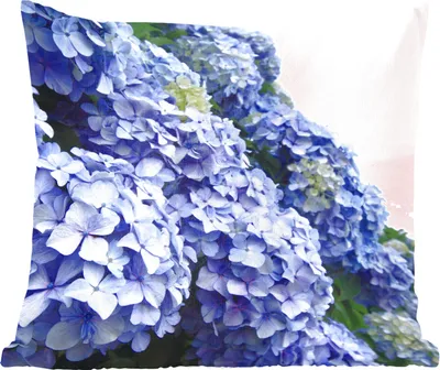 Produktbild von MuchoWow® Zierkissen Sofakissen Wohnzimmer Dekokissen 60x60 cm Hortensienblüten - Sitzfläche - Foto Polster