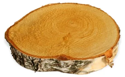 Immagine prodotto di Dischi per alberi 1 pz. Disco decorativo in legno Disco in legno 15 - 20 cm